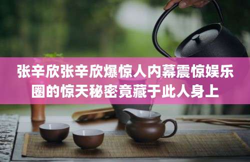 张辛欣张辛欣爆惊人内幕震惊娱乐圈的惊天秘密竟藏于此人身上