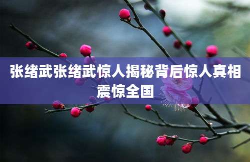 张绪武张绪武惊人揭秘背后惊人真相震惊全国